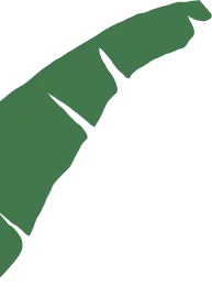 banana leaf with animation