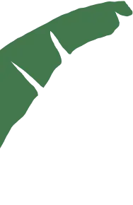 banana leaf with animation